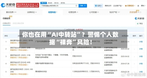 你也在用“AI中转站	”？警惕个人数据“裸奔”风险！-第3张图片