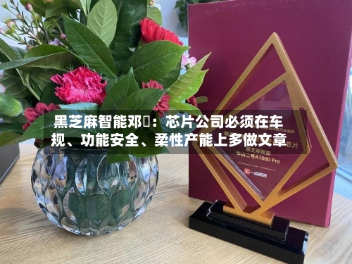黑芝麻智能邓堃：芯片公司必须在车规、功能安全	、柔性产能上多做文章-第2张图片