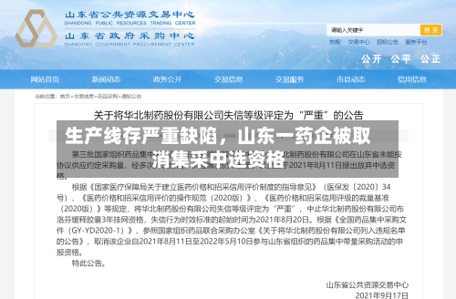 生产线存严重缺陷，山东一药企被取消集采中选资格-第2张图片