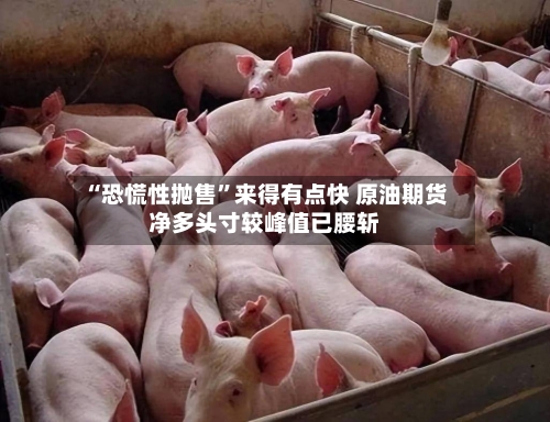 “恐慌性抛售	”来得有点快 原油期货净多头寸较峰值已腰斩-第2张图片