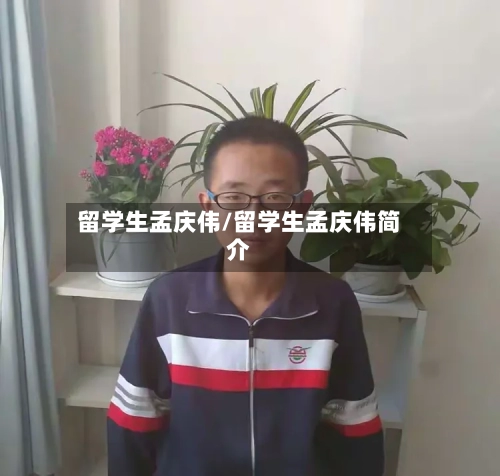 留学生孟庆伟/留学生孟庆伟简介-第2张图片