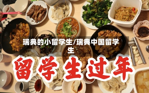 瑞典的小留学生/瑞典中国留学生-第2张图片