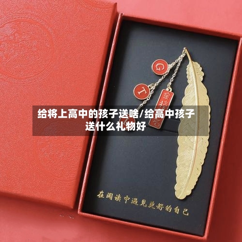 给将上高中的孩子送啥/给高中孩子送什么礼物好-第2张图片