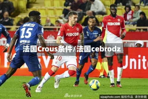 法国Crous条件/法国cebrodz-第2张图片