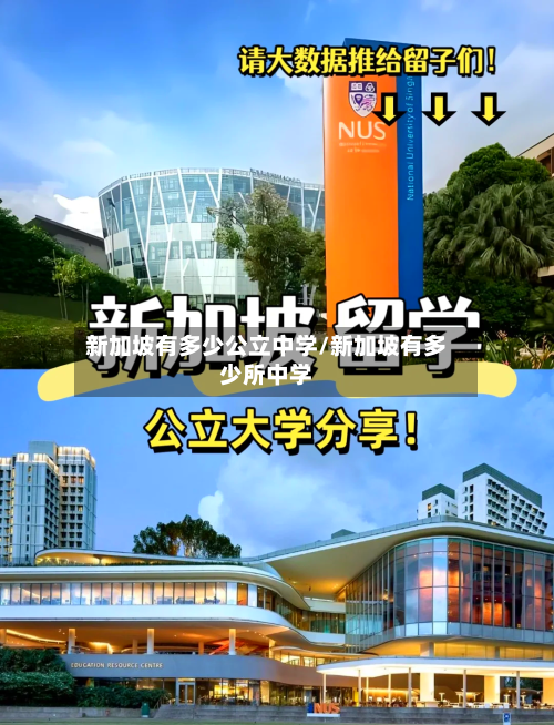 新加坡有多少公立中学/新加坡有多少所中学-第2张图片