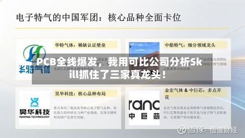 PCB全线爆发	，我用可比公司分析Skill抓住了三家真龙头！-第2张图片