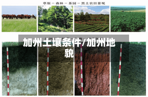 加州土壤条件/加州地貌-第2张图片