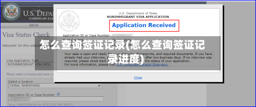 怎么查询签证记录(怎么查询签证记录进度)-第3张图片