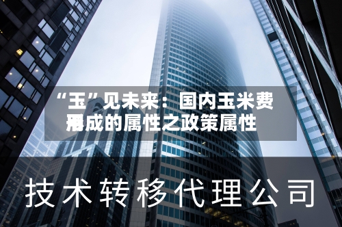 “玉	”见未来：国内玉米费用形成的属性之政策属性-第3张图片