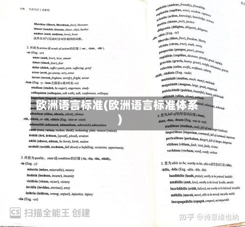 欧洲语言标准(欧洲语言标准体系)