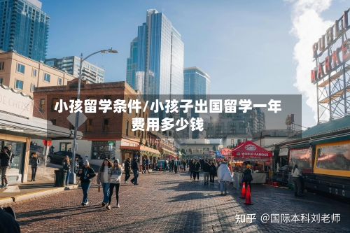 小孩留学条件/小孩子出国留学一年费用多少钱-第3张图片