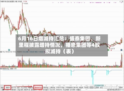 6月16日增减持汇总:盛泰集团、新里程披露增持情况,播恩集团等4股拟减持(表)