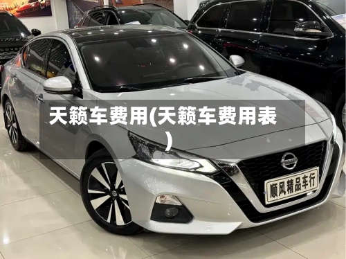 天籁车费用(天籁车费用表)-第2张图片