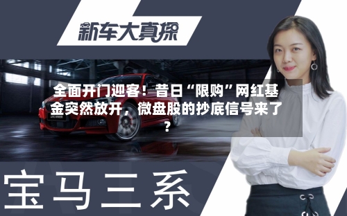 全面开门迎客！昔日“限购”网红基金突然放开，微盘股的抄底信号来了？-第2张图片