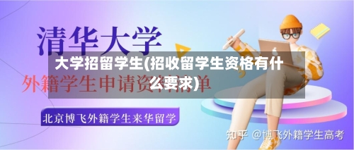 大学招留学生(招收留学生资格有什么要求)-第2张图片