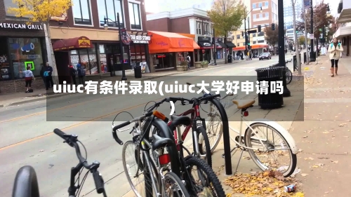 uiuc有条件录取(uiuc大学好申请吗)