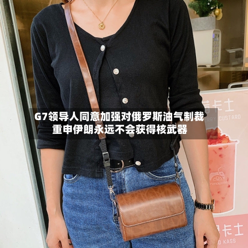 G7领导人同意加强对俄罗斯油气制裁 重申伊朗永远不会获得核武器