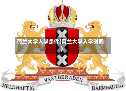 荷兰大学入学条件(荷兰大学入学时间)