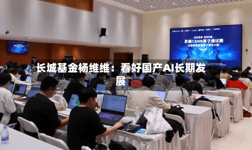 长城基金杨维维：看好国产AI长期发展