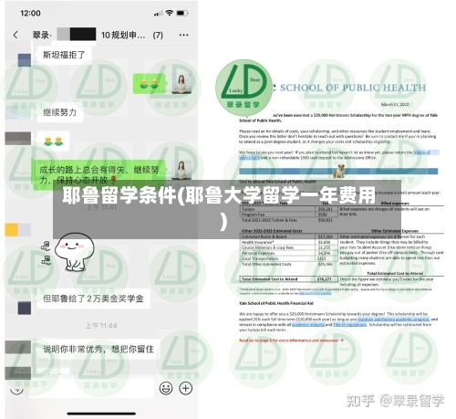 耶鲁留学条件(耶鲁大学留学一年费用)