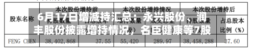 6月17日增减持汇总：永兴股份、润丰股份披露增持情况，名臣健康等7股拟减持（表）-第2张图片