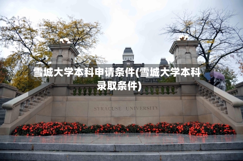 雪城大学本科申请条件(雪城大学本科录取条件)-第3张图片