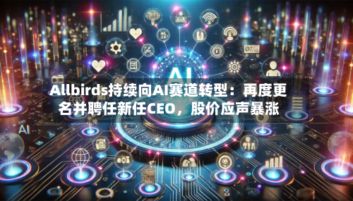 Allbirds持续向AI赛道转型：再度更名并聘任新任CEO	，股价应声暴涨-第3张图片