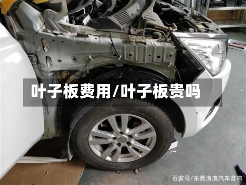 叶子板费用/叶子板贵吗-第2张图片
