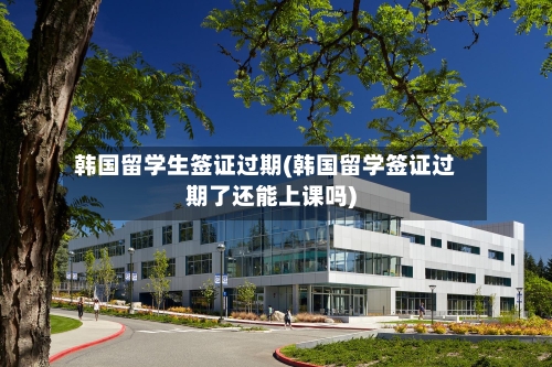韩国留学生签证过期(韩国留学签证过期了还能上课吗)-第2张图片
