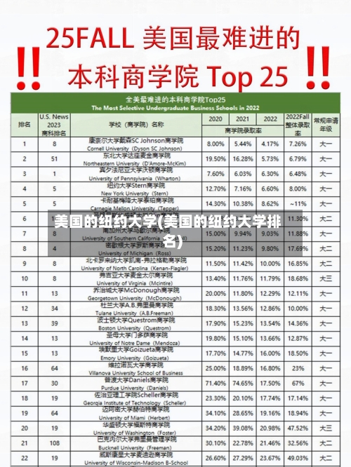 美国的纽约大学(美国的纽约大学排名)-第2张图片
