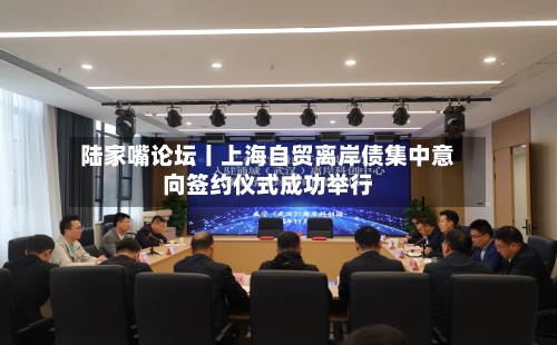 陆家嘴论坛丨上海自贸离岸债集中意向签约仪式成功举行-第3张图片