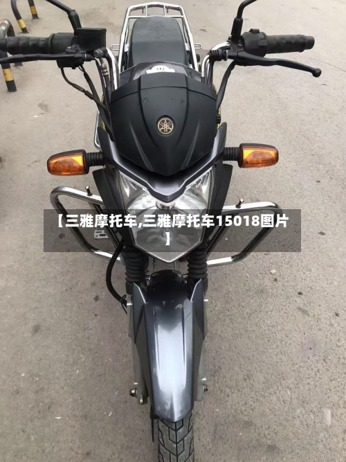 【三雅摩托车,三雅摩托车15018图片】-第2张图片