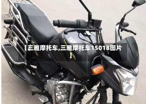 【三雅摩托车,三雅摩托车15018图片】-第3张图片