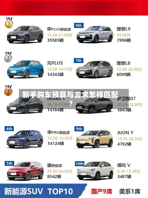 新手购车预算与需求怎样匹配?
