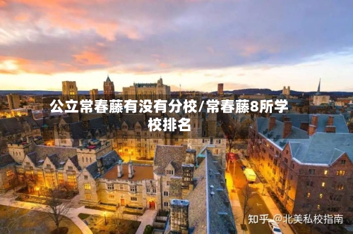 公立常春藤有没有分校/常春藤8所学校排名-第2张图片
