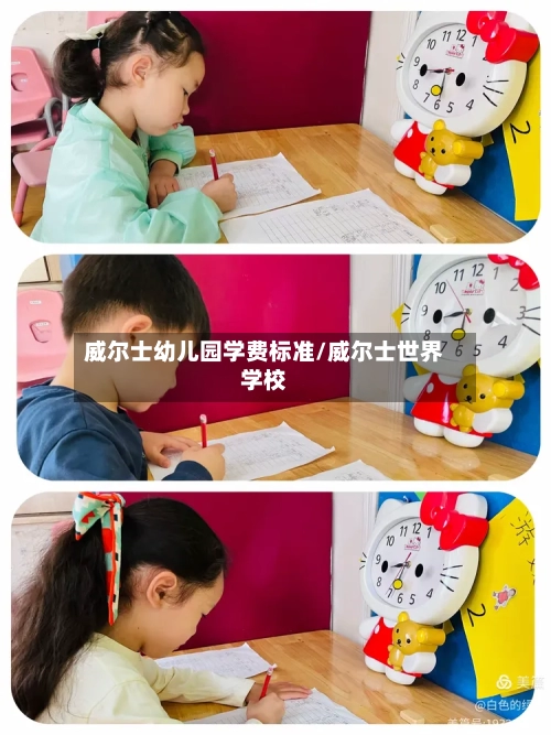 威尔士幼儿园学费标准/威尔士世界学校