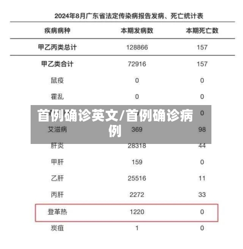 首例确诊英文/首例确诊病例