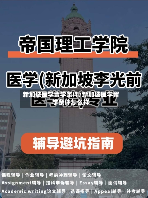 新加坡医学留学条件/新加坡医学留学条件怎么样-第2张图片