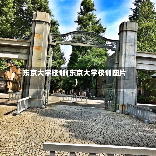 东京大学校训(东京大学校训图片)