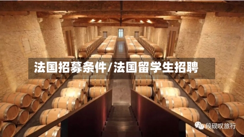 法国招募条件/法国留学生招聘