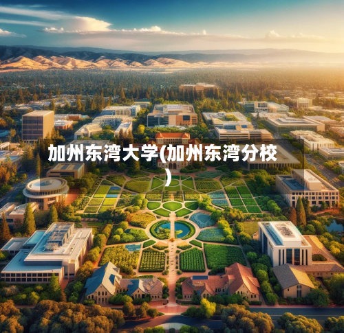 加州东湾大学(加州东湾分校)