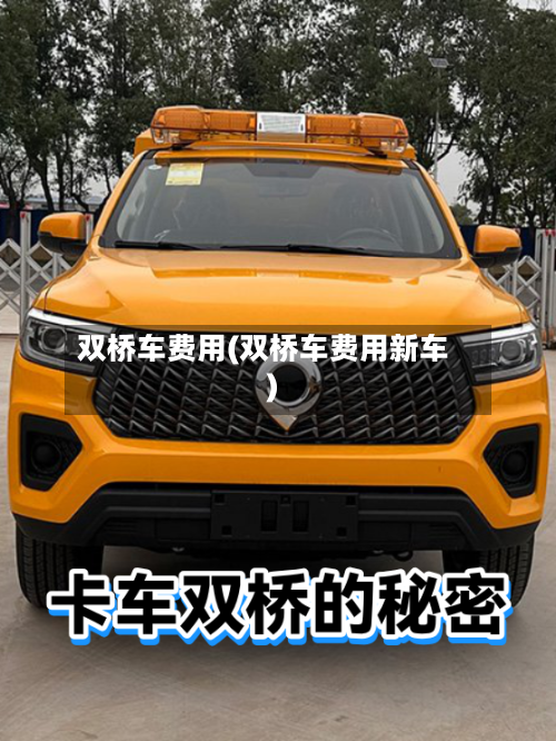双桥车费用(双桥车费用新车)