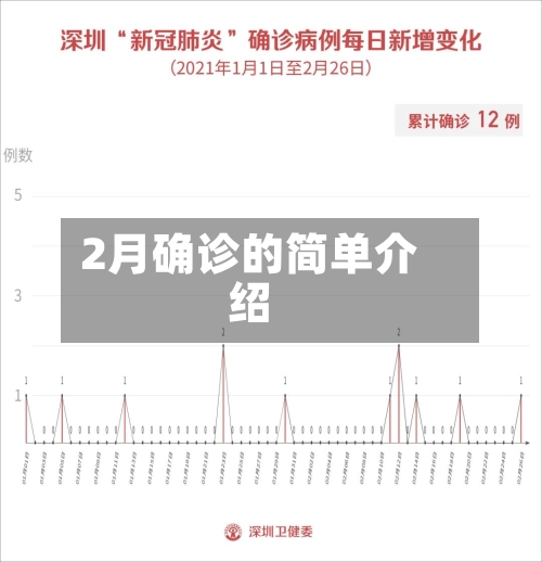 2月确诊的简单介绍
