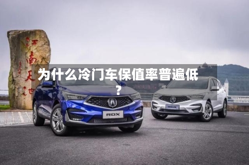为什么冷门车保值率普遍低？