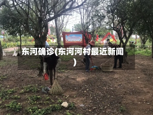 东河确诊(东河河村最近新闻)-第3张图片