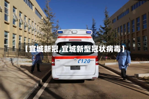【宜城新冠,宜城新型冠状病毒】-第3张图片