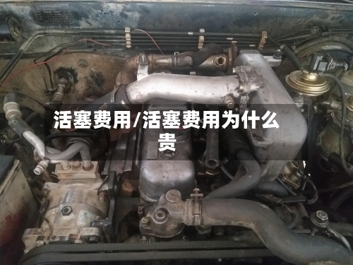 活塞费用/活塞费用为什么贵