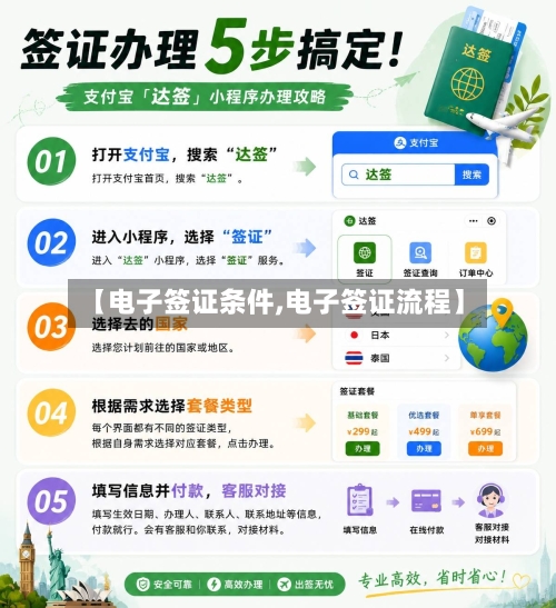 【电子签证条件,电子签证流程】