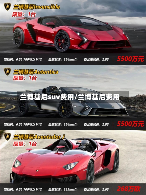 兰博基尼suv费用/兰博基尼费用-第2张图片