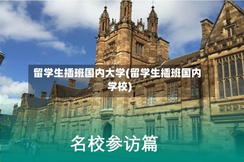留学生插班国内大学(留学生插班国内学校)-第3张图片